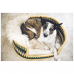 SEAGRASS PET BED